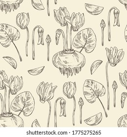 Seamless pattern with cyclamen: cyclamen flowers, bud, root and leaves. Alpine violet. Cosmetic, perfumery and medical plant. Vector hand drawn illustration