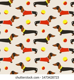 Seamless pattern with dachshunds. Cute cartoon pets. Dogs and balls.