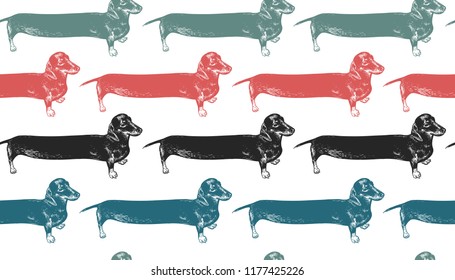 Seamless pattern. Dachshunds long dogs black, red, blue, green. Cute puppies. Home pet isolated on white background. Sketch animals. Vector illustration. Style vintage engraving. Retro hand drawing.