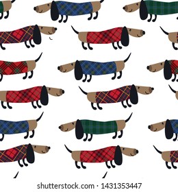 Seamless pattern with dachshunds on plaid background. Vector illustration  