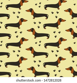 Seamless pattern with dachshunds. Pets wallpaper. Little dogs background.