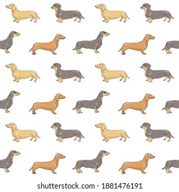 
Seamless pattern with dachshunds. Set of funny pets. Vector illustration.