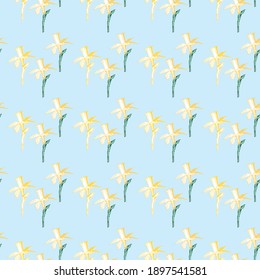 patrón transparente daffodil vector azul claro