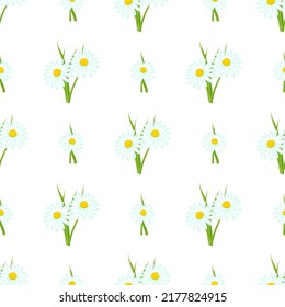 Seamless pattern with daisies. Beautiful wallpaper with flowers. Vector illustration.