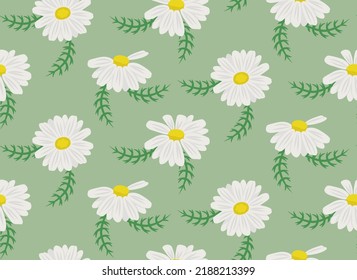 Seamless pattern with daisies and leaves. Texture with wildflowers in cartoon style.