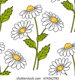 Seamless pattern with daisies on white background. Vector illustration.