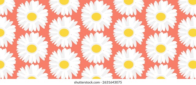 Seamless pattern with daisies, white flowers on pink, coral background.