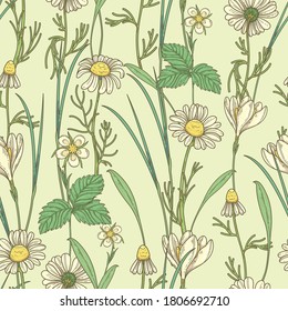 Seamless pattern with daisies and wildflowers