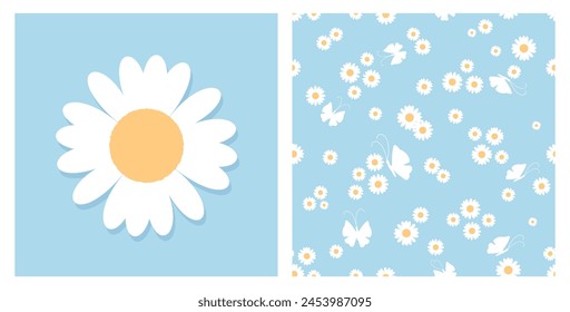 Seamless pattern with daisy chamomile flower and butterflies on blue background. Daisy icon sign vector.