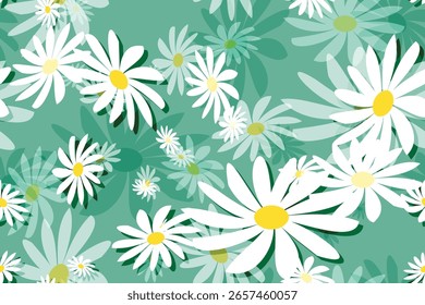 Seamless pattern with daisy chamomile flower background. Daisy vector.