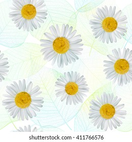 Seamless pattern with daisy, chamomile flowers. Vector illustration. EPS10.