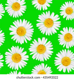 Seamless pattern with daisy, chamomile flowers. Vector natural illustration. EPS10.