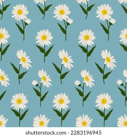 Seamless pattern with daisy Eps 10 vector. 