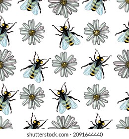 Seamless pattern of daisy flower, cartoon flying bees on white background vector illustration. Cute hand drawn floral pattern.