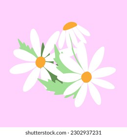 Patrón sin brillo con campo de flor margarita en la ilustración vectorial de fondo morado. Patrón de margaritas y hojas. Bouquet veraniego de daisies
