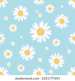 Seamless pattern with daisy flower  field on blue background vector illustration. Cute floral print.