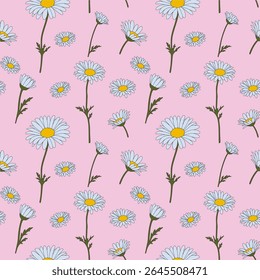 Seamless pattern with daisy flower field on pink background vector illustration. Cute floral print.