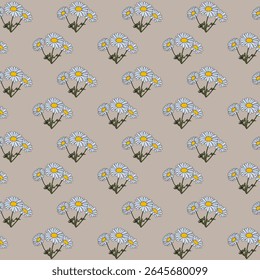 Seamless pattern with daisy flower field on beige background vector illustration. Cute floral print.