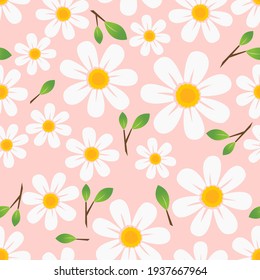 Seamless pattern with daisy flower and leaves on pink background vector illustration. Beautiful floral print.