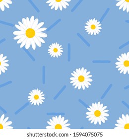 Seamless pattern of daisy flower on blue background vector illustration. Flat design.