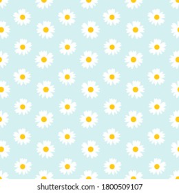 Seamless pattern with daisy flower on blue background vector.