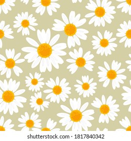 Seamless Pattern Daisy Flower On Light Stock Vector (Royalty Free ...