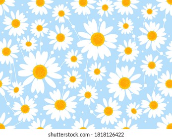 Seamless pattern with daisy flower on blue background vector illustration.