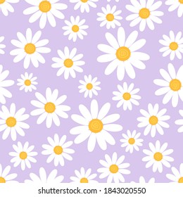 Seamless pattern with daisy flower on purple background vector illustration. Flat design.