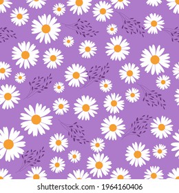 Seamless pattern with daisy flower on purple background vector illustration.