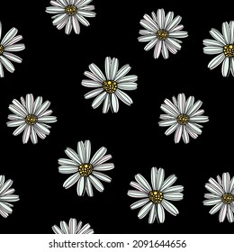 Seamless pattern of daisy flower, on black background vector illustration. Cute hand drawn floral pattern.