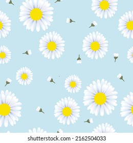 Seamless Pattern With Daisy Flower And  On Light Bluebackground Vector Illustration.