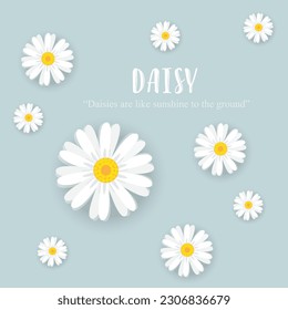 Seamless pattern with daisy flower , small white flower on blue green background vector illustration. Cute floral print.