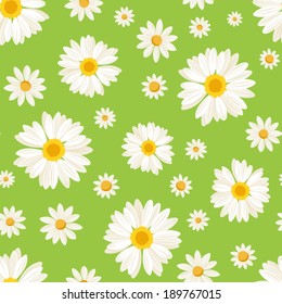 Seamless pattern with daisy flowers on green. Vector illustration.