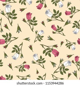 Seamless pattern with damask rose ornamental plant. Vector illustration