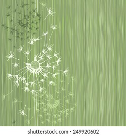Seamless pattern of dandelion . Hand-drawn floral background,  vector illustration.