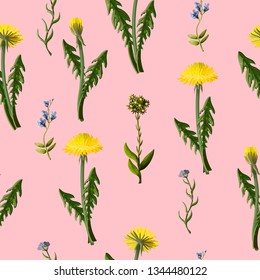 Seamless pattern with dandelion and wild flowers