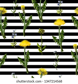 Seamless pattern with dandelion and wild flowers