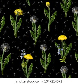 Seamless pattern with dandelion and wild flowers