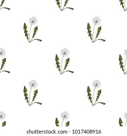Seamless pattern with dandelions on white background. Flat design. Vector Illustration