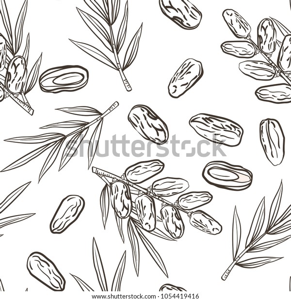 Seamless pattern with date fruit\
branch, date fruits and palm leaves. Vector hand drawn sketchy\
style illustration. Lined drawing isolated on white. Pattern in\
swatch