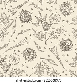 Seamless pattern with datura stramonium: leaves, datura stramonium flowers and plant. Datura common. Cosmetic, perfumery and medical plant. Vector hand drawn illustration.