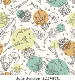 Seamless pattern with datura stramonium: leaves, datura stramonium flowers and plant. Datura common. Cosmetic, perfumery and medical plant. Vector hand drawn illustration.