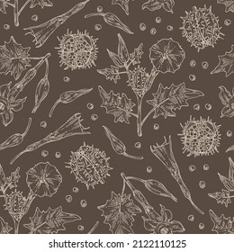 Seamless pattern with datura stramonium: leaves, datura stramonium flowers and plant. Datura common. Cosmetic, perfumery and medical plant. Vector hand drawn illustration.