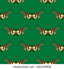 Seamless pattern with dead head butterfly, hand drawing, vector illustration