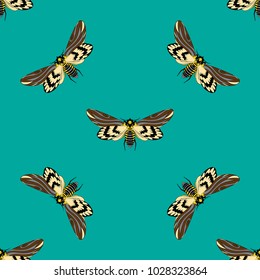 Seamless pattern with dead head butterfly, hand drawing, vector illustration