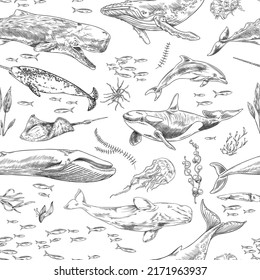 Seamless pattern decorative background with fish and marine animals, vintage hand drawn vector illustration on white background. Marine pattern in sketch style.