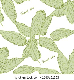 Nahtloses Muster mit dekorativen Bananenpalmenblättern mit Schriftzeichen. Grüne Blätter von tropischem Silva. Kontinuierliches Blumenmuster. Endlose Textur für ein anderes Design.