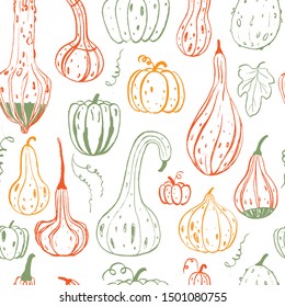 Seamless pattern with decorative colorful pumpkins. Hand drawn sketch vector autumn illustration. Thanksgiving Day holiday background. Harvest. Food elements.