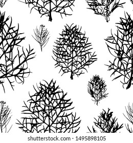 Seamless pattern of decorative grass. Black silhouette of grass on a white background. Pattern vector illustration.