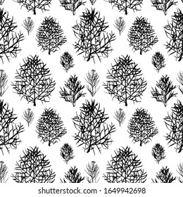 Impecable patrón de césped decorativo. Impresiones de ramas de césped. Apropiado para tejidos, tejidos, fondos botánicos. Ilustración vectorial de material.